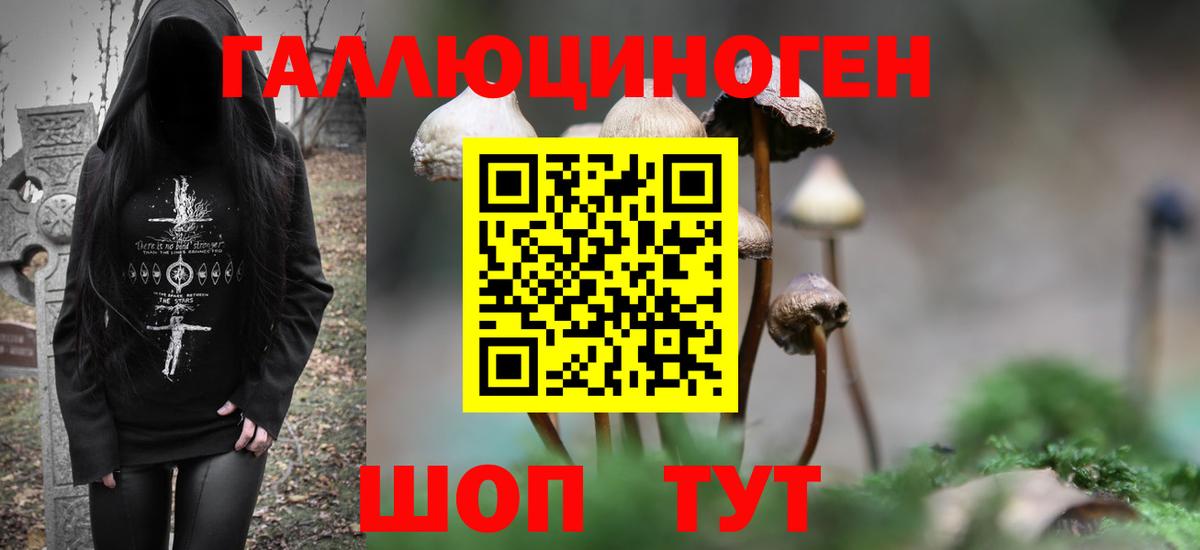 Псилоцибиновые грибы MAGIC MUSHROOMS  Вход с VPN  Галлюциногенные грибы мухоморы  Подольск 